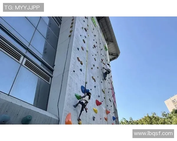 广州攀岩队的战术揭秘与深度分析探索攀岩运动的魅力与挑战