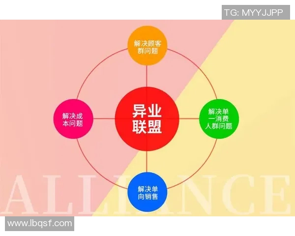 北京排球队快攻革新之路：战术创新与团队协作的完美结合