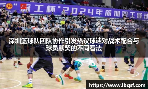 深圳篮球队团队协作引发热议球迷对战术配合与球员默契的不同看法